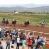 wyoming horse racing llc